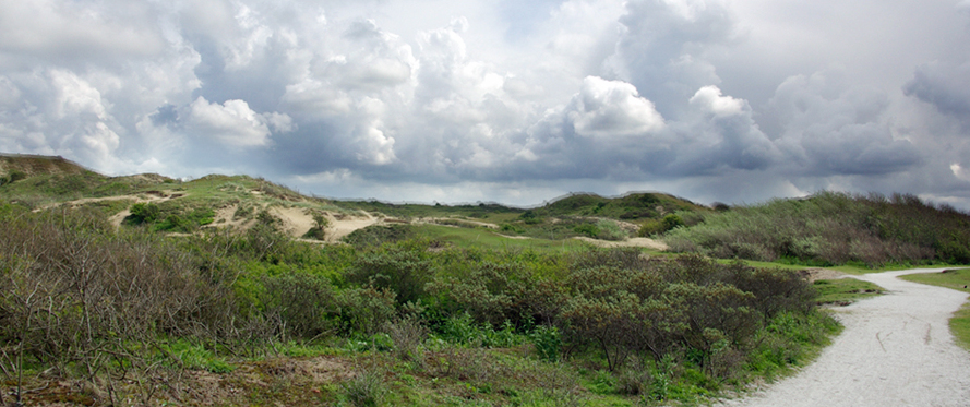'Landschap-Duin-Berkheide-Katwijk-04